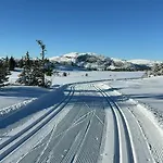 Family-friendly Mountain At *