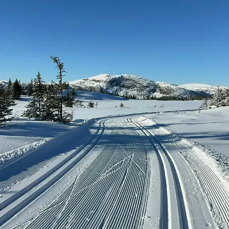 Family-friendly Mountain At * Haglebu