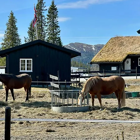 Family-friendly Mountain At