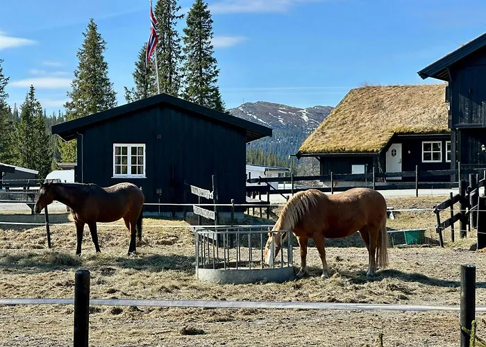Family-friendly Mountain At