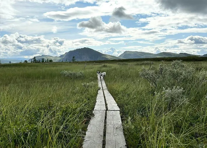 Family-friendly Mountain At *
